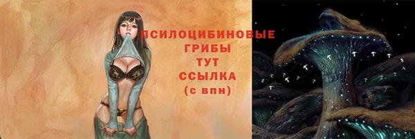 крисы Алексин