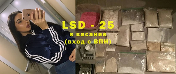 крисы Алзамай